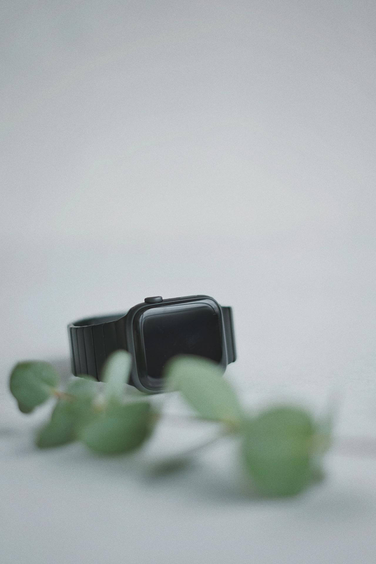 Smartwatches